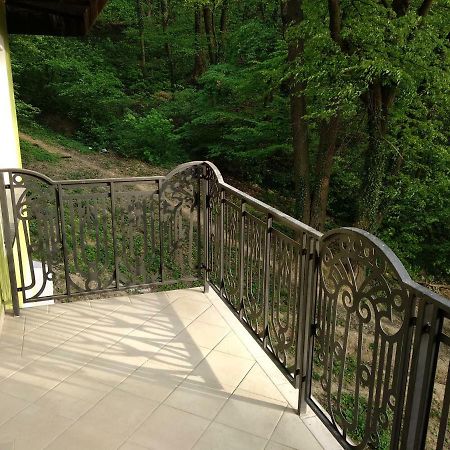 Апартаменты Apartament Ramona Брашов Экстерьер фото