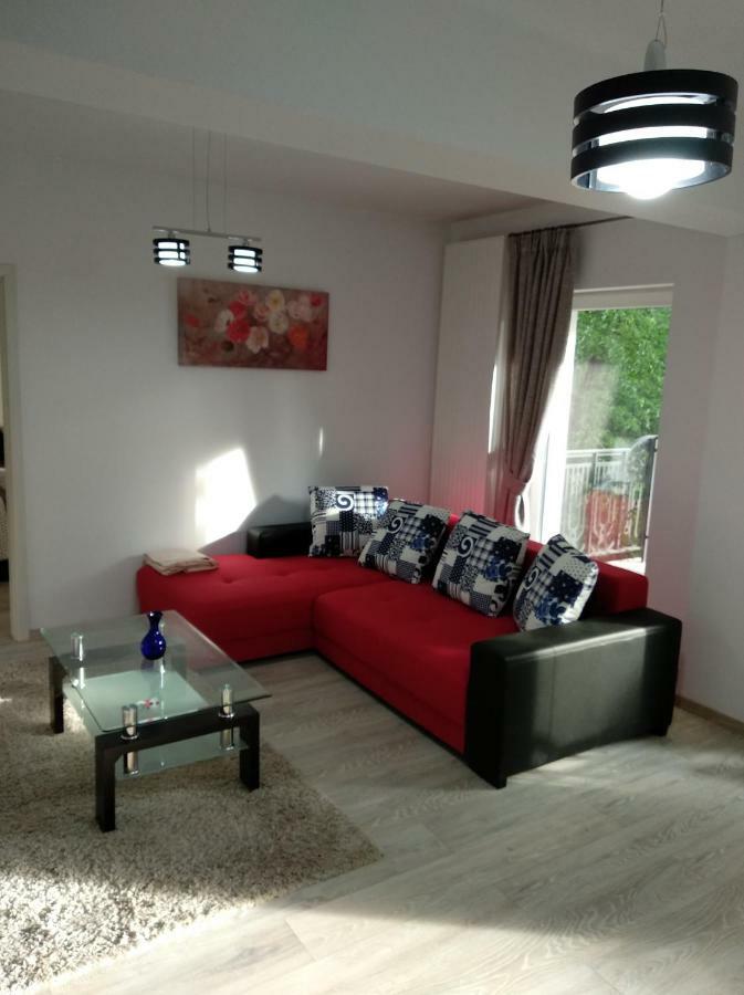 Апартаменты Apartament Ramona Брашов Экстерьер фото