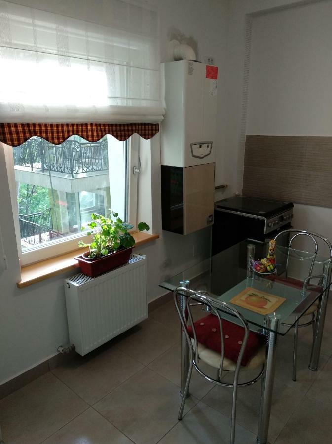 Апартаменты Apartament Ramona Брашов Экстерьер фото